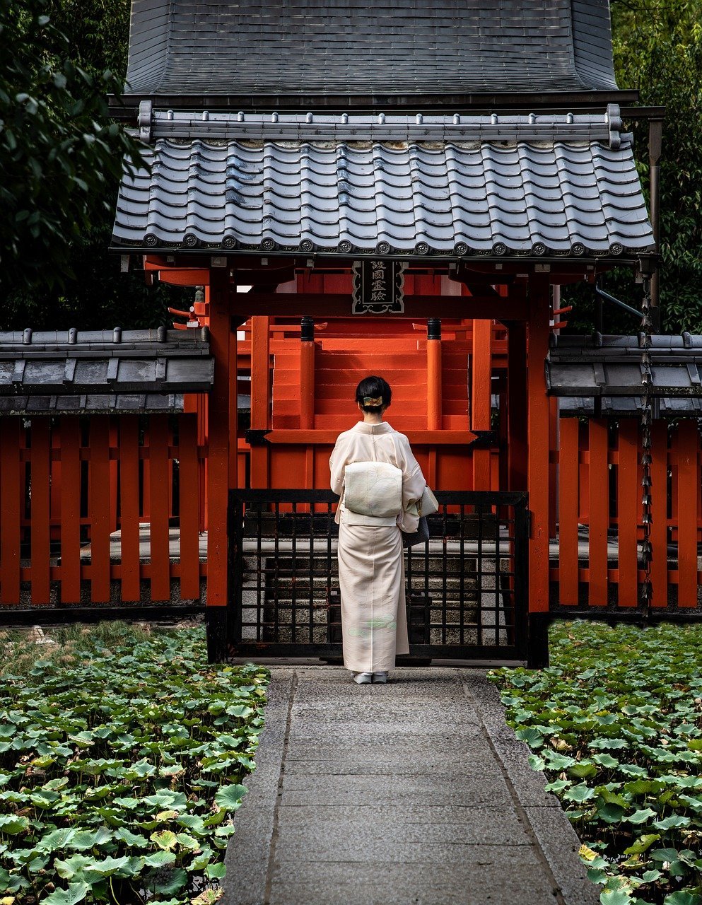 kimono, costume, shrine-6683245.jpg